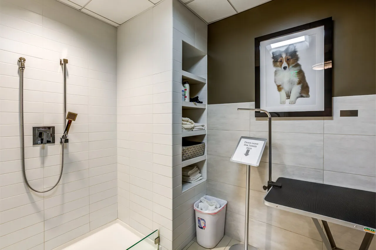 665 Washington St, Boston Downtown