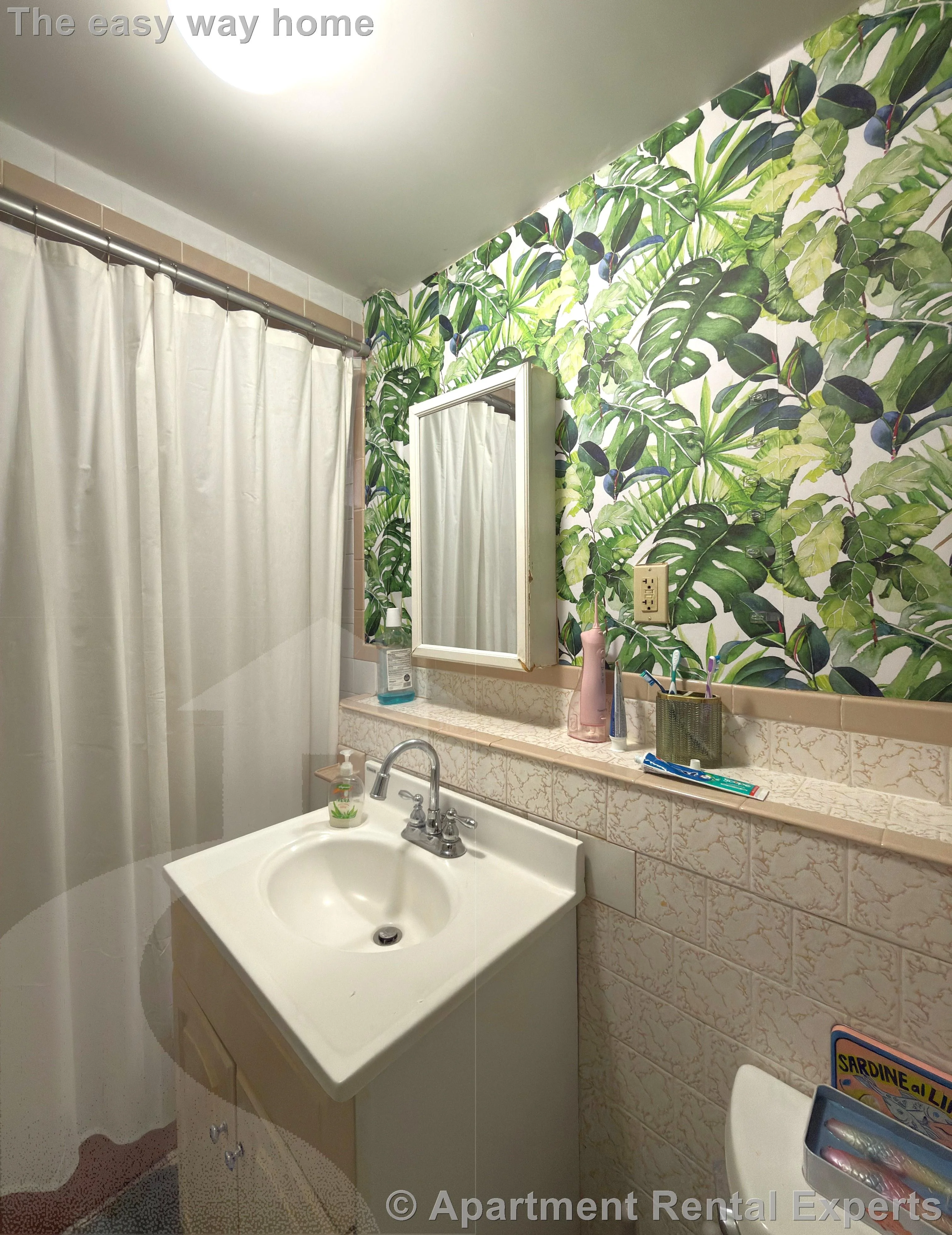 19B Strathmore Rd, Magoun Square