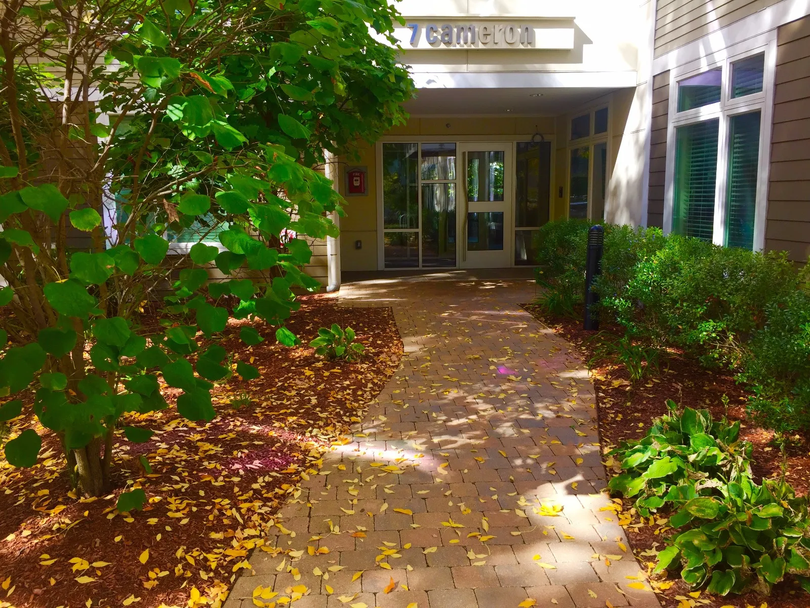 7 Cameron Ave, North Cambridge