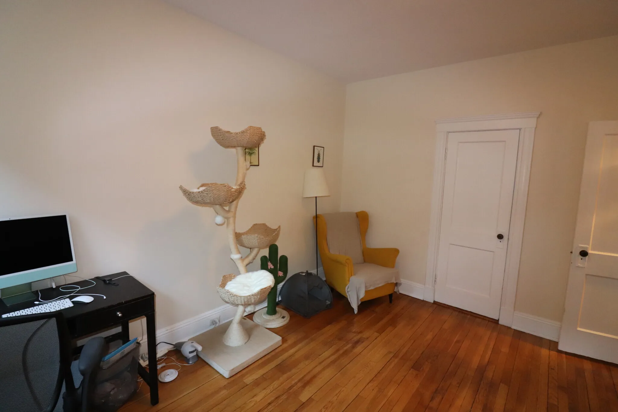 38A Saint Paul St, Coolidge Corner