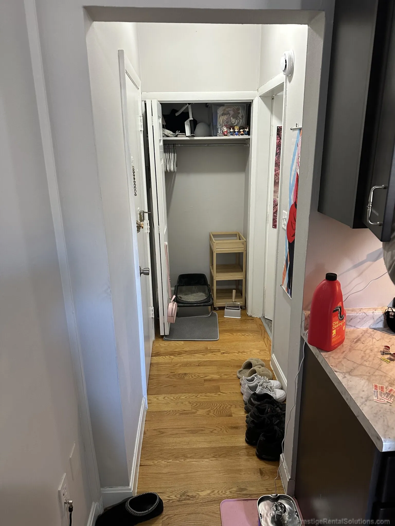 1124 Commonwealth Ave, Allston