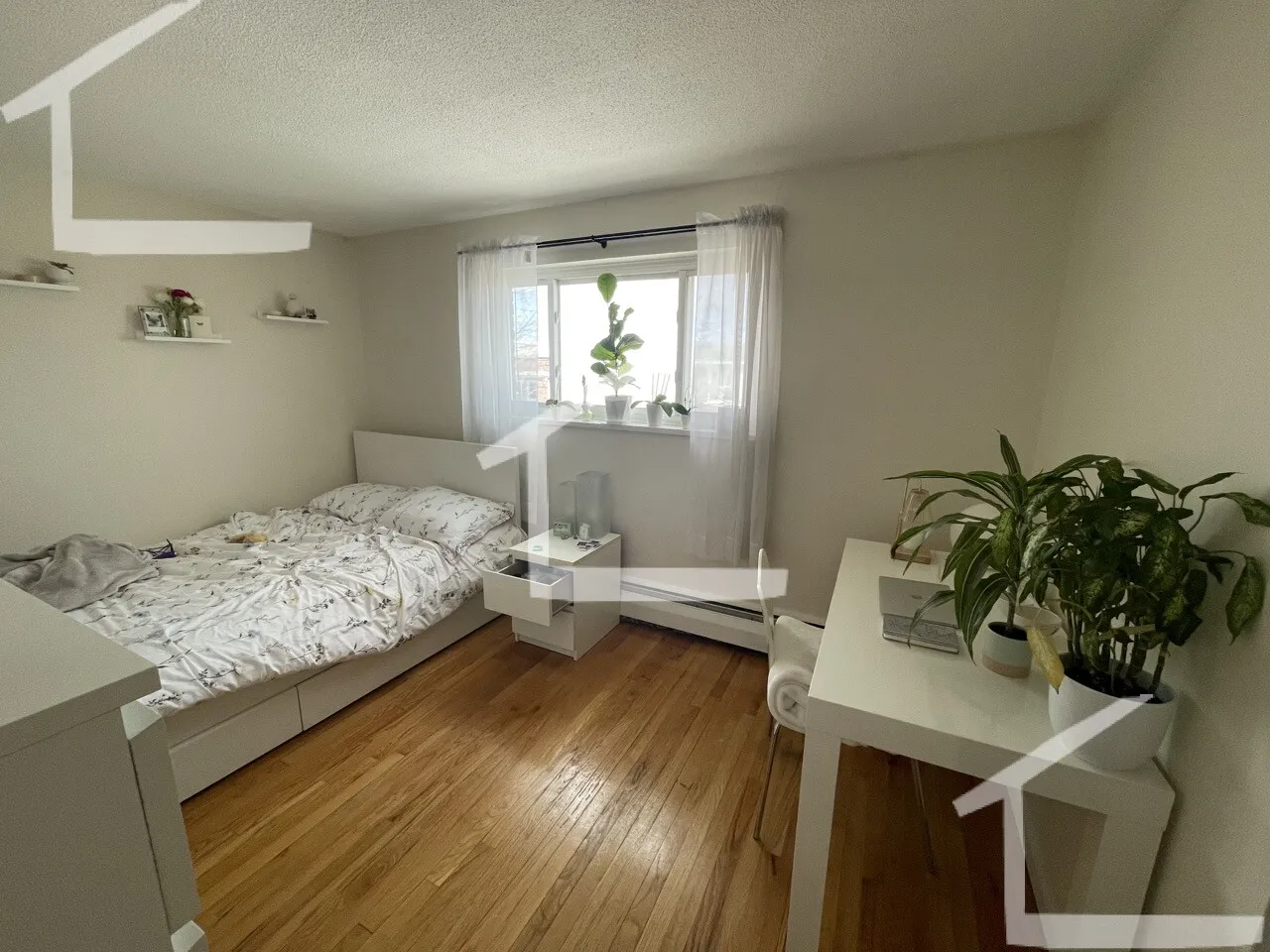 290 Corey Rd, Brighton