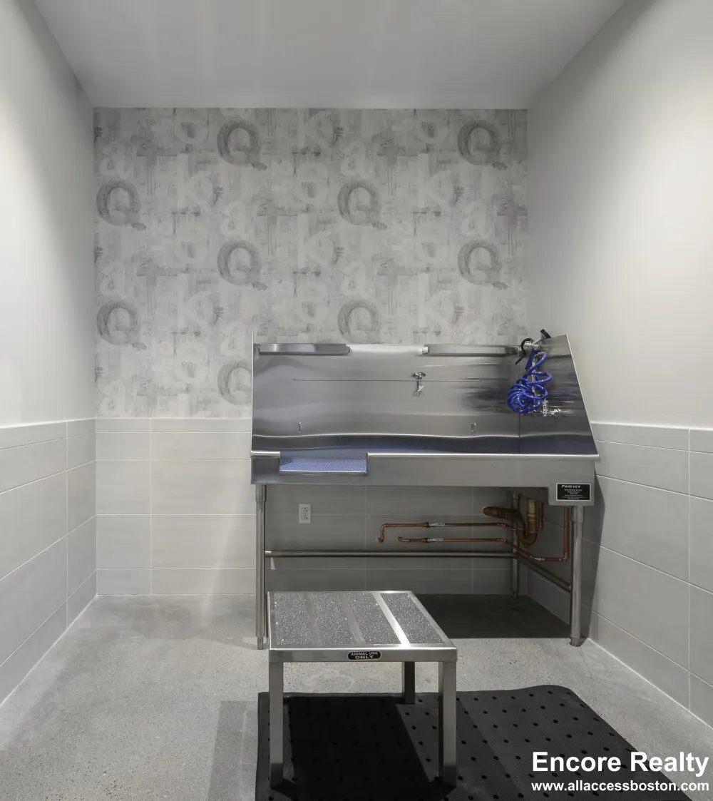 425 Massachusetts Ave, Central Square