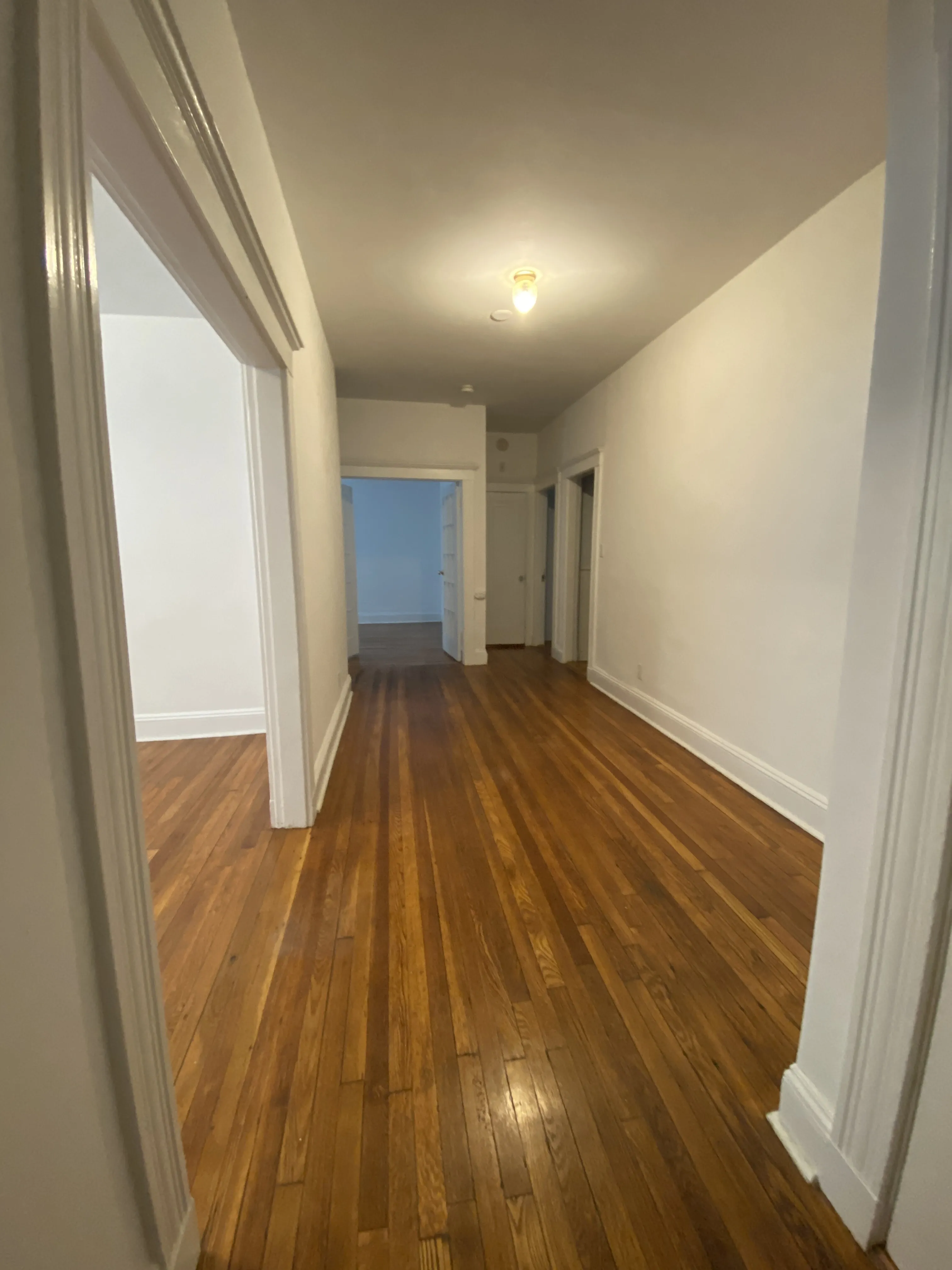 81 Winchester St, North Brookline