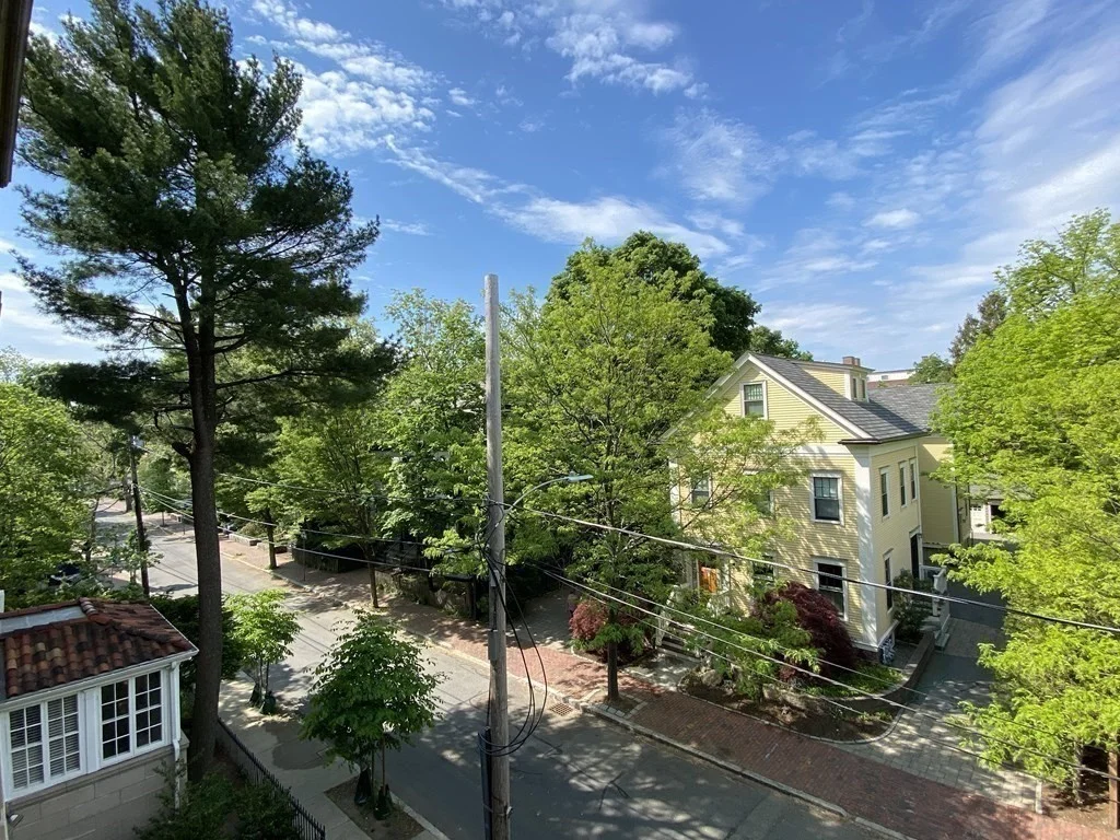 79 Martin St, Neighborhood Nine