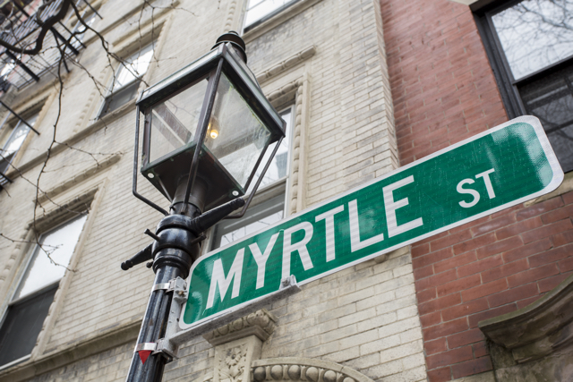 1 bed, 1 bath apartment for rent at 28.5 Myrtle St Unit 5, Beacon Hill — photo 14 of 16