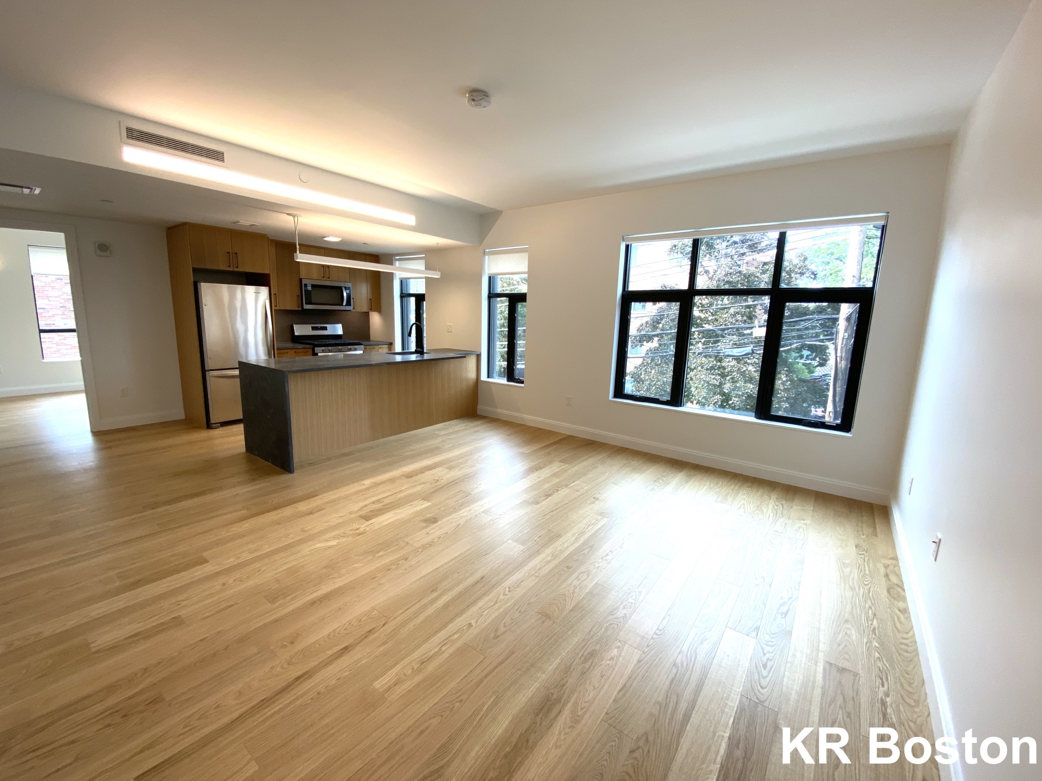 2 bed, 2 bath apartment for rent at 87 Gardner St Unit 210, Allston — photo 1 of 5