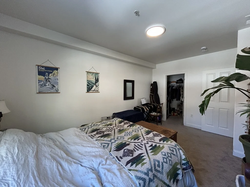 43 Pitman St, Spring Hill