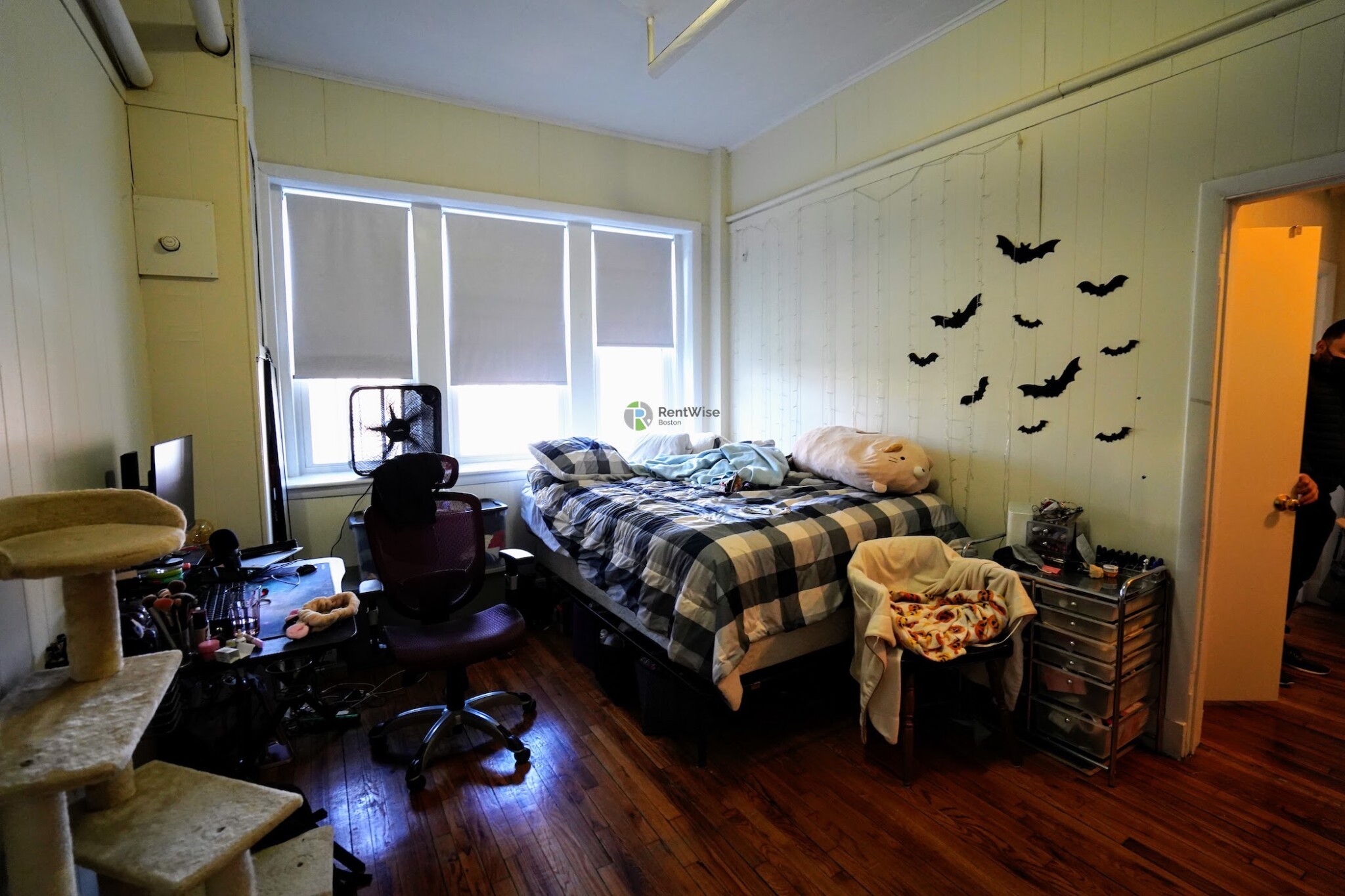 109 Brainerd Rd, Brighton