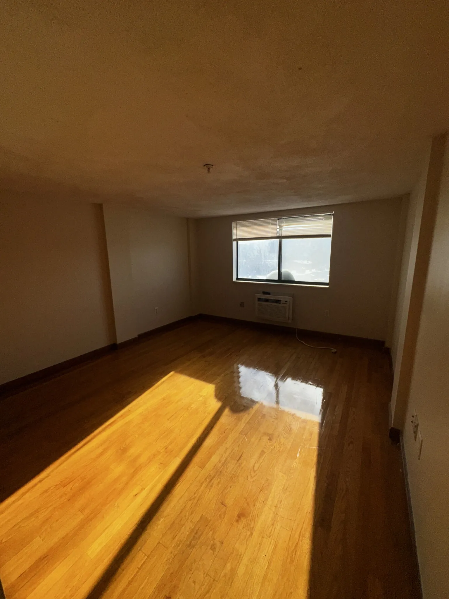 1110 Commonwealth Ave, Brighton