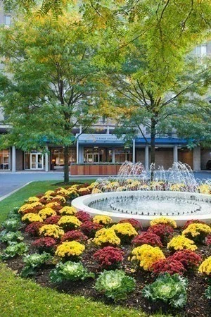 33 Pond Ave, Brookline Village