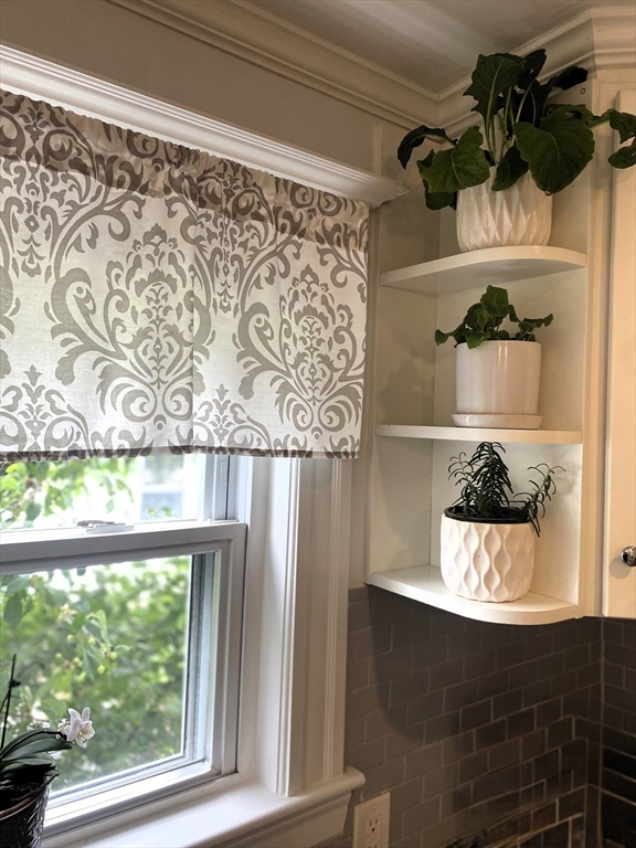 35 Reedsdale Rd, Milton