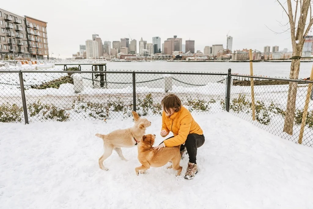 65 Lewis St, East Boston