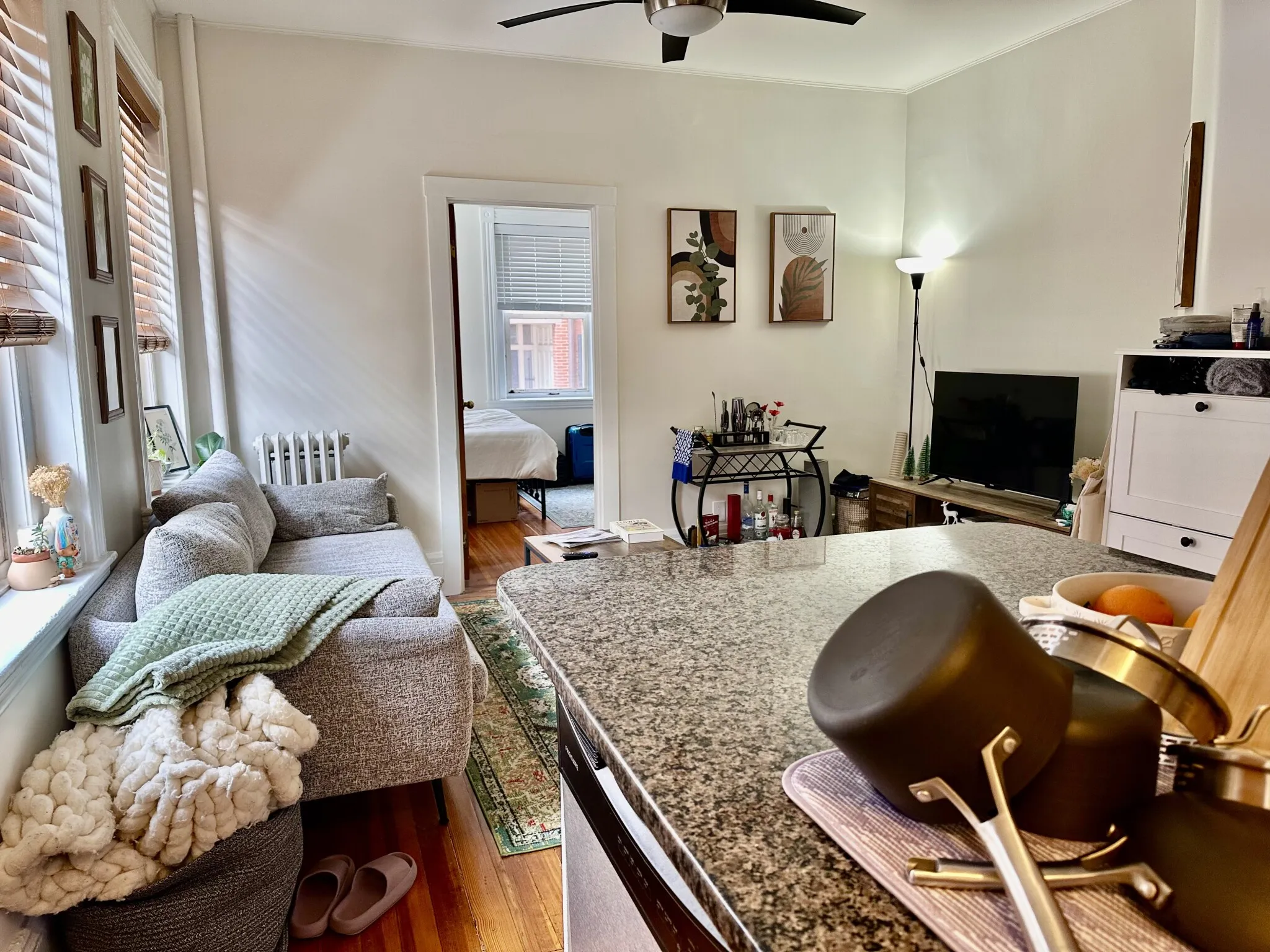 108 Myrtle St, Beacon Hill