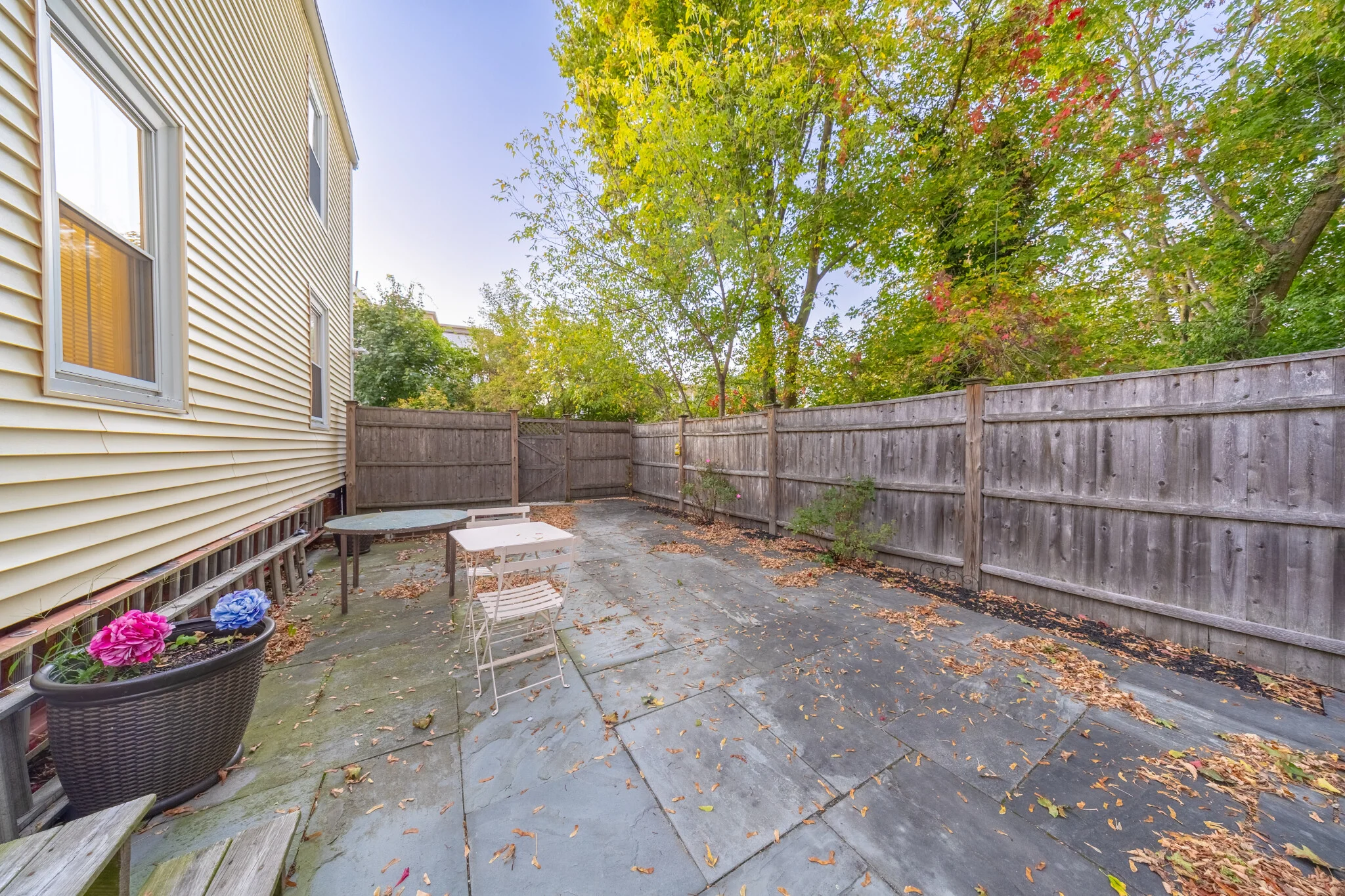 22 Saybrook St, Brighton