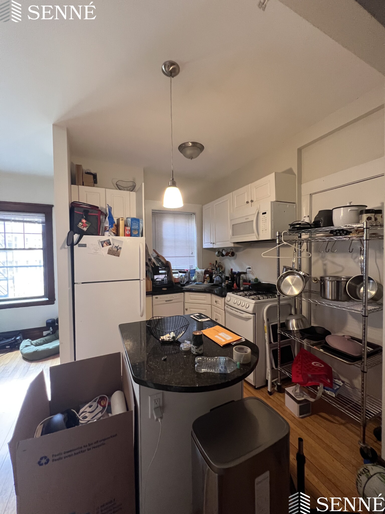 5 Linnaean St, Neighborhood Nine