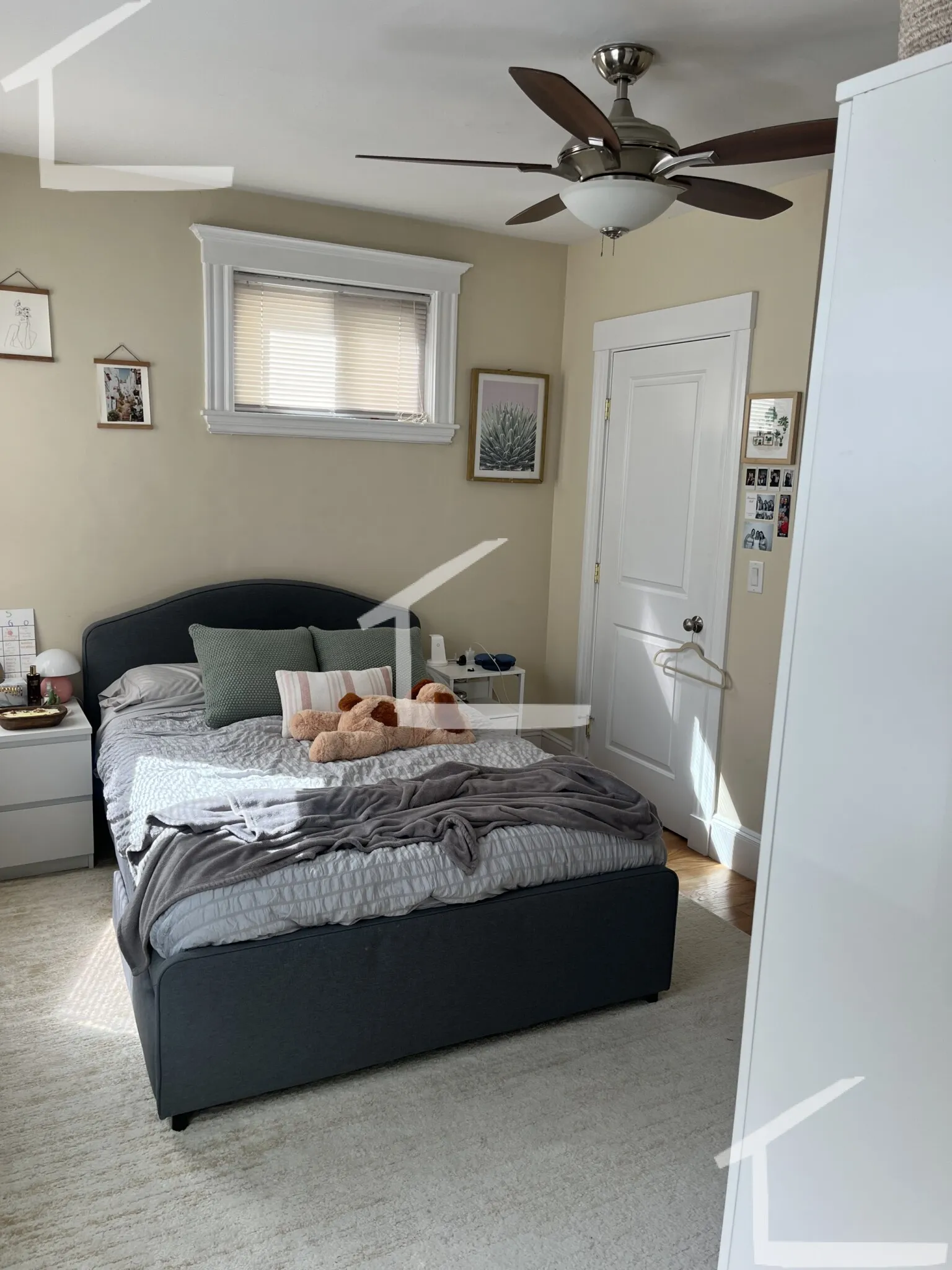 58 Atkins St, Oak Square