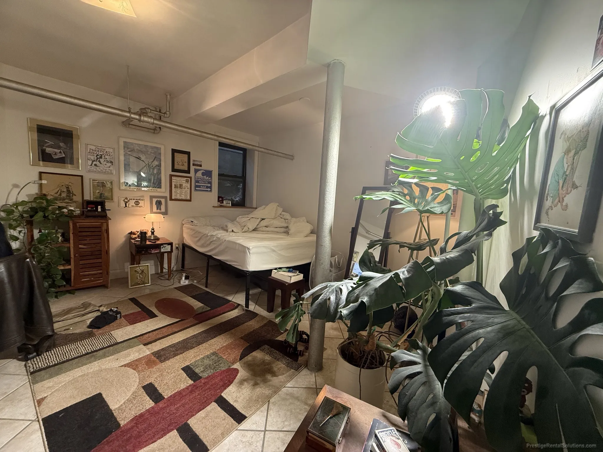 17 Cummings Rd, Brighton