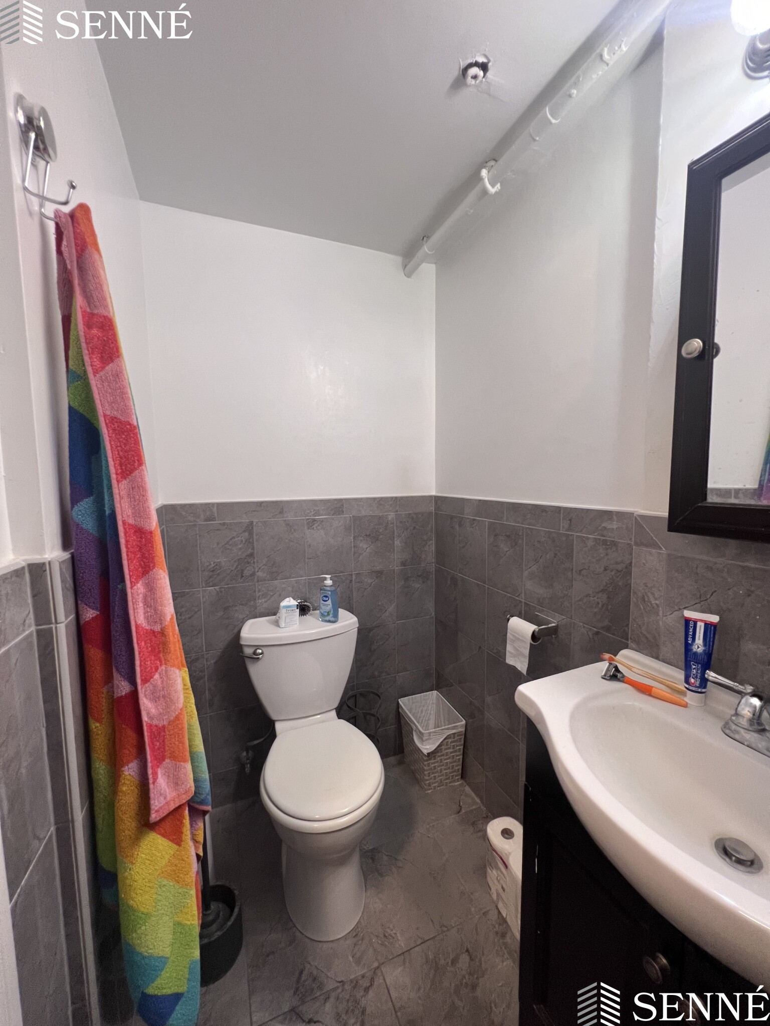 3 Linnaean St, Neighborhood Nine