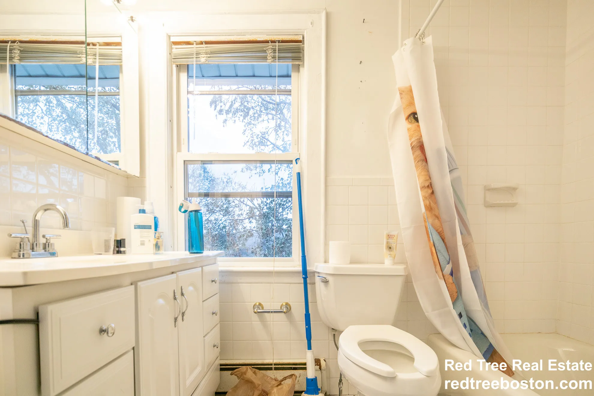 116 Lake St, Brighton