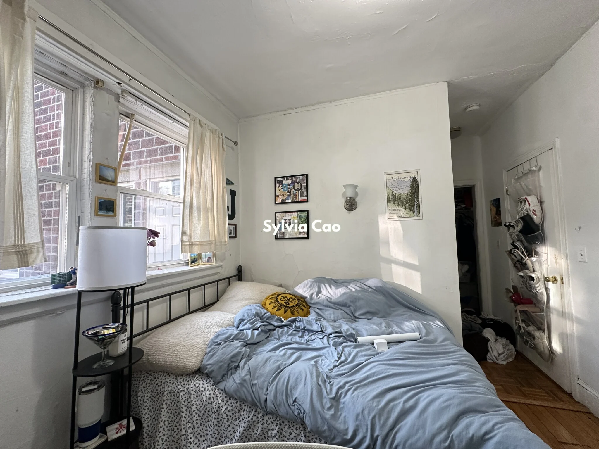 56 Egmont St, North Brookline