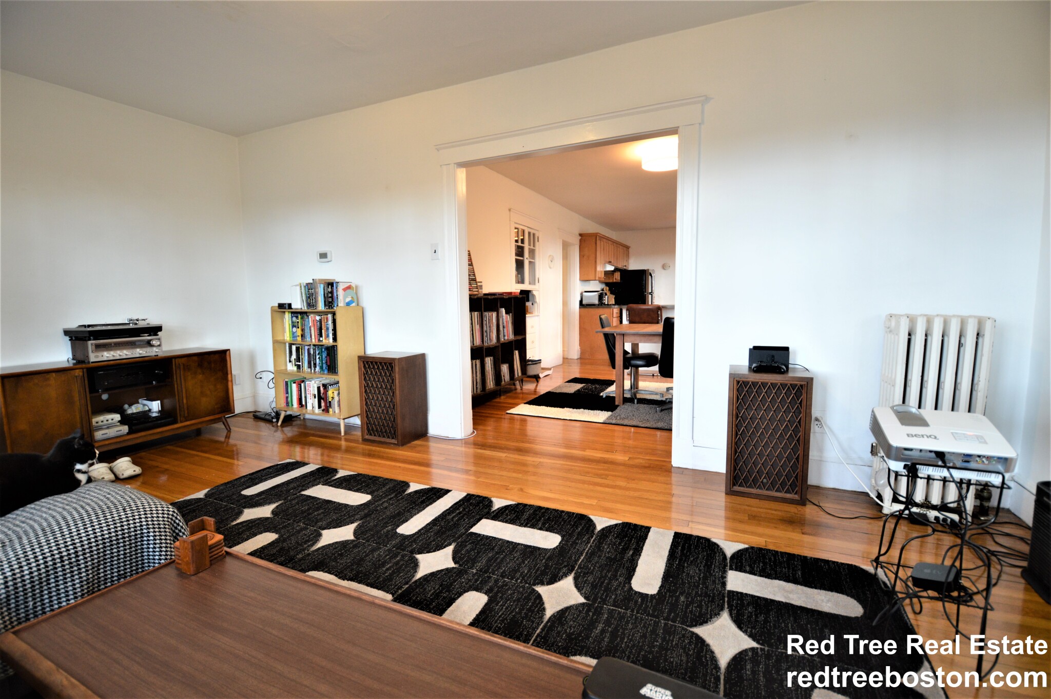 251 Chestnut Ave, Jamaica Plain