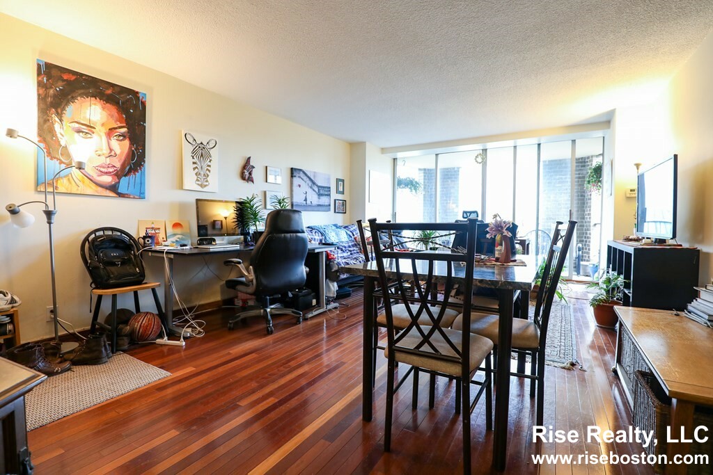 2 bed, 2 bath apartment for rent at 33 Pond Ave Unit 623, Brookline Village — photo 4 of 12