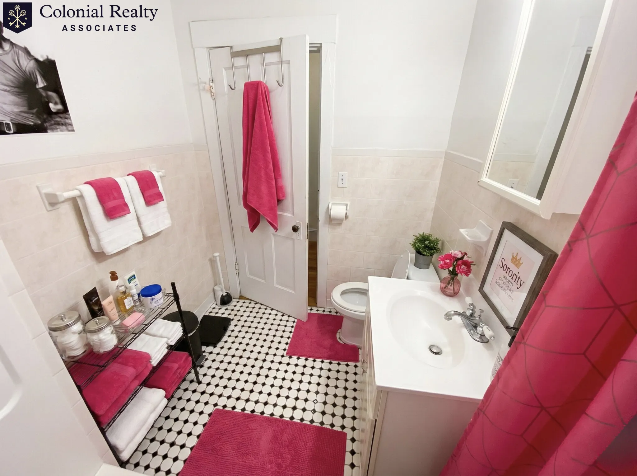 62 Egmont St, North Brookline