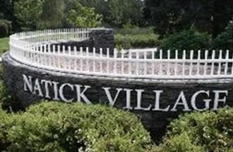 14 Village Green Ln, Natick