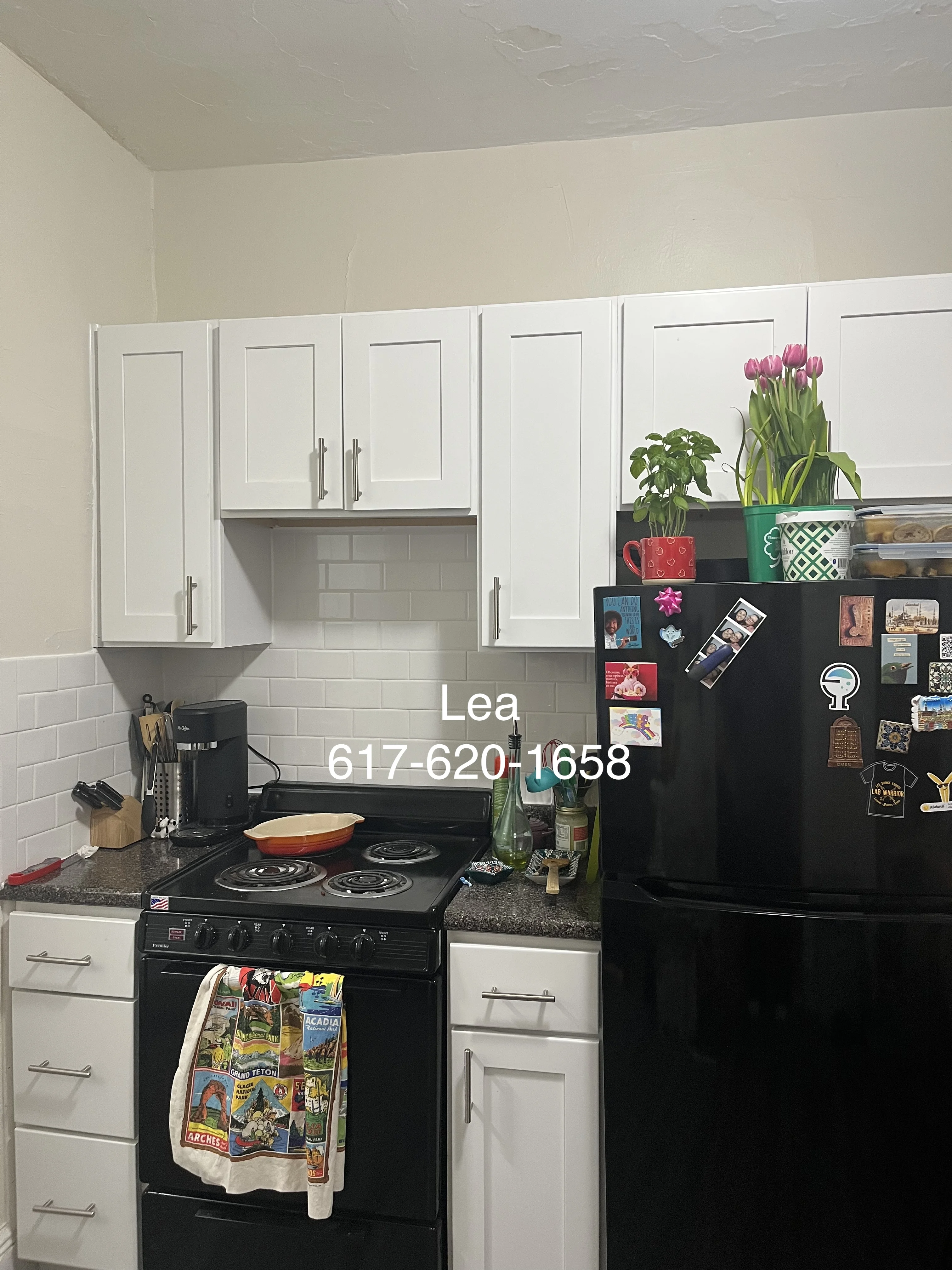 4 Vinal St, Brighton