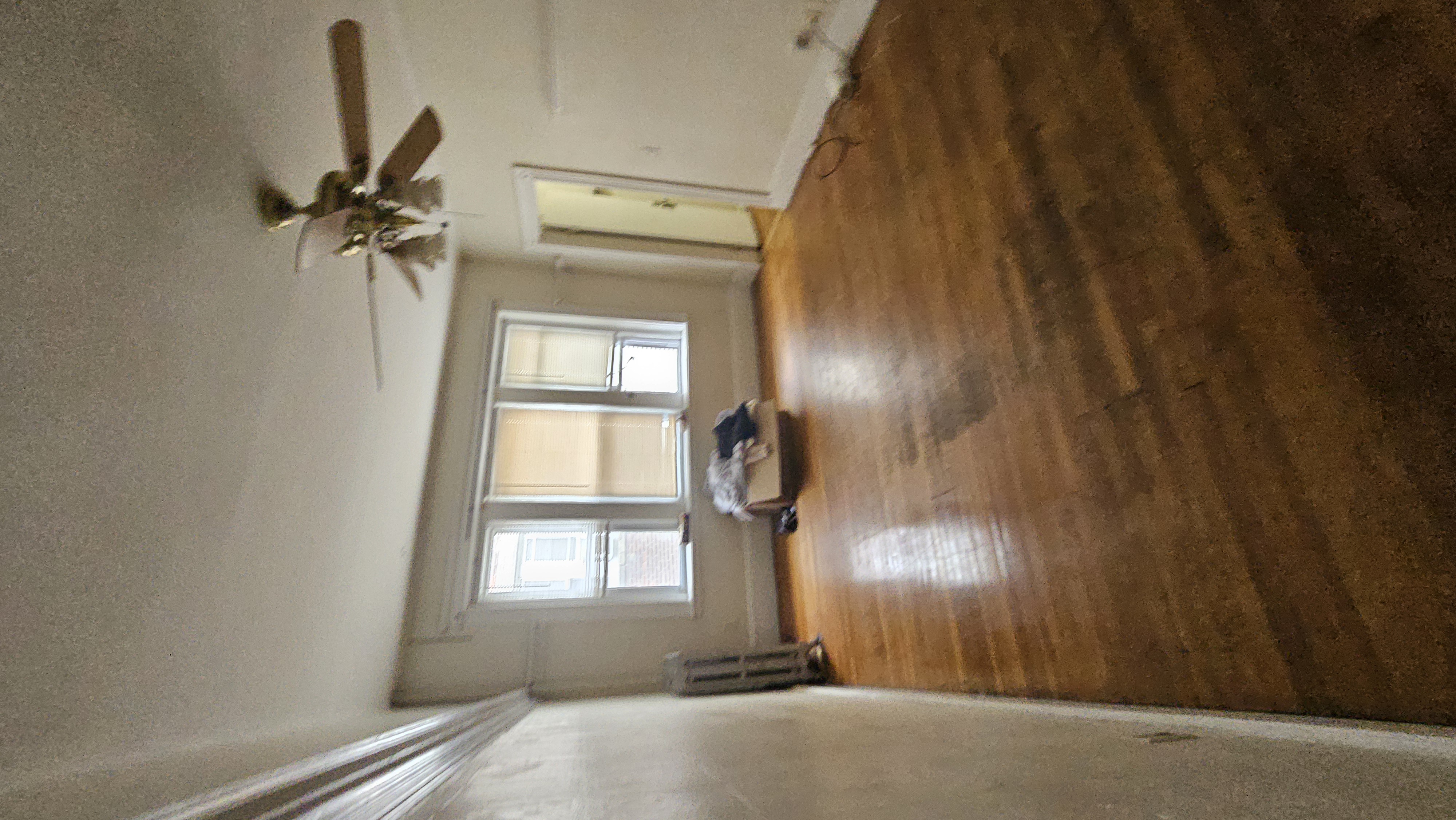 7 Price Rd, Brighton