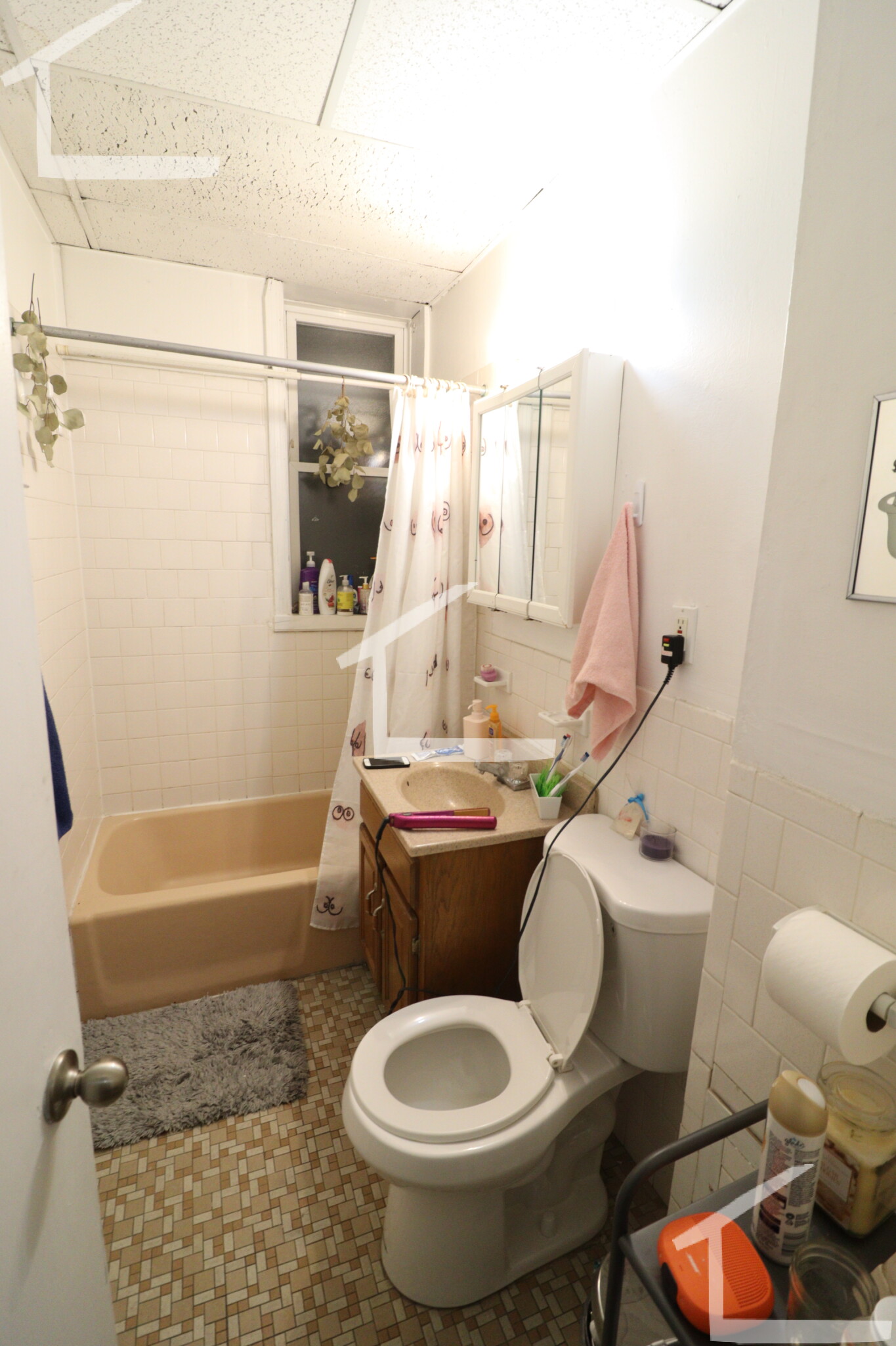 4 Price Rd, Brighton