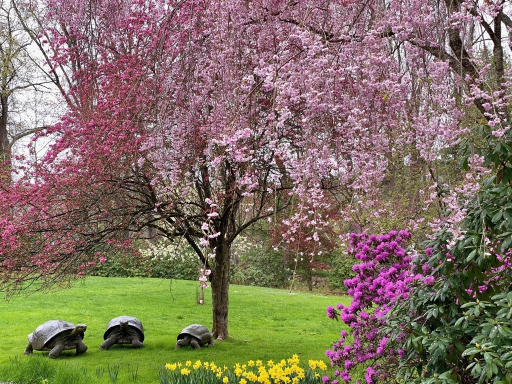 210 Washington St, Sherborn