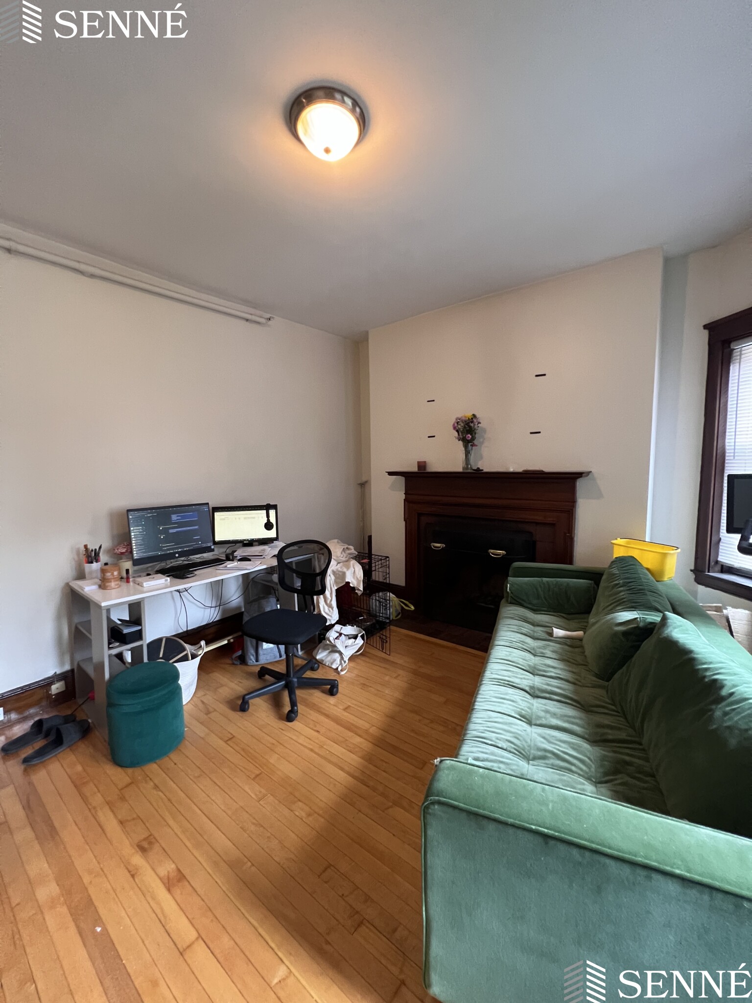 5 Linnaean St, Neighborhood Nine