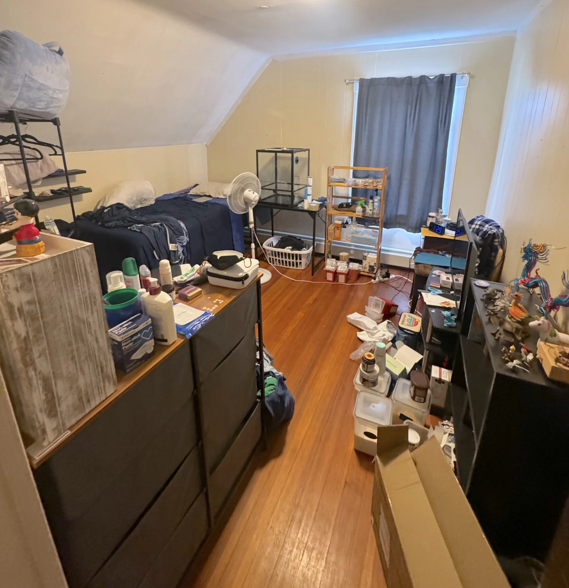 71 Aldie St, Allston