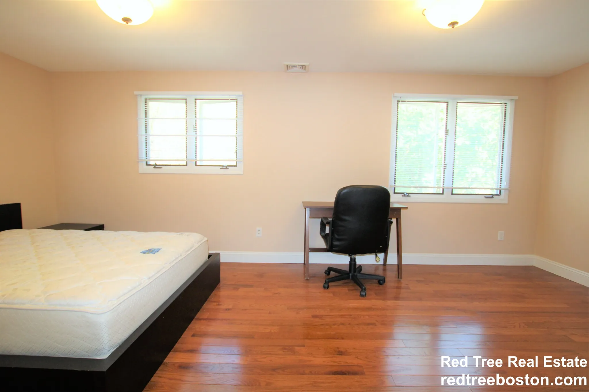 50 Undine Rd, Brighton