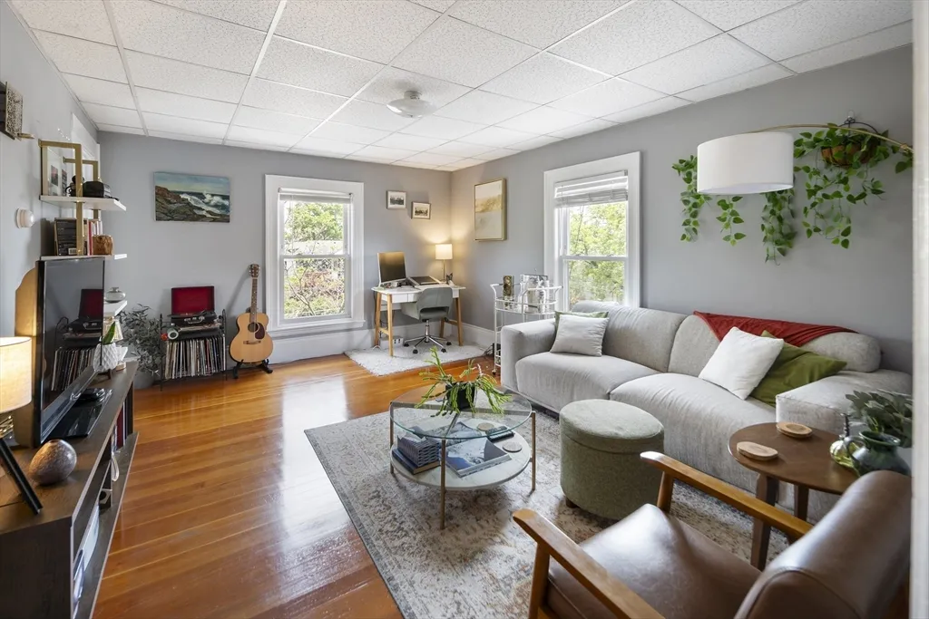 38 Spring, Spring Hill