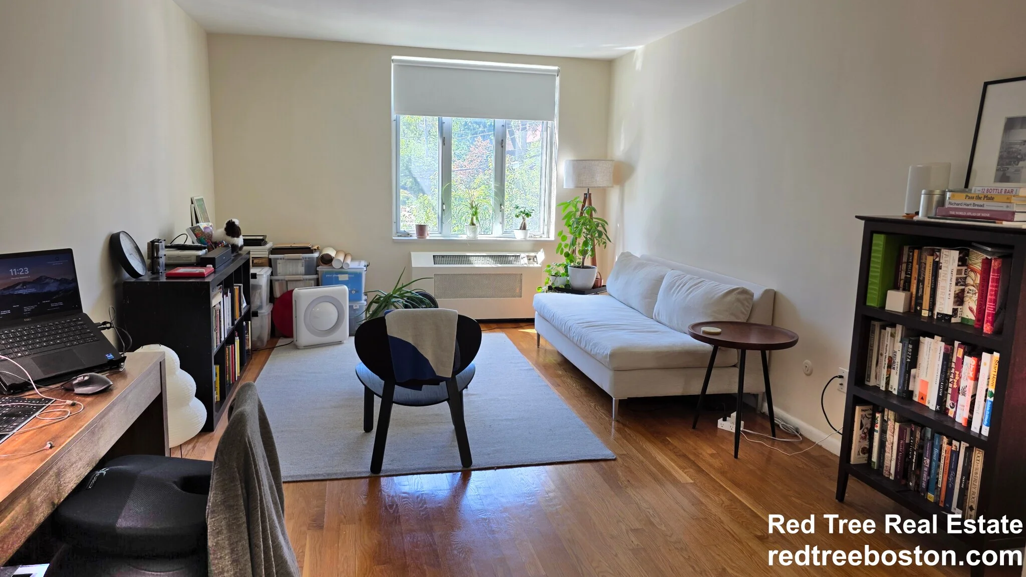 35 Vernon St, Coolidge Corner