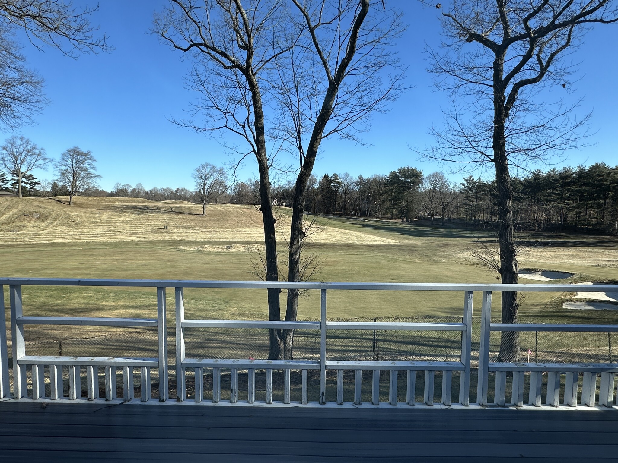 43 Fairgreen Pl, Chestnut Hill