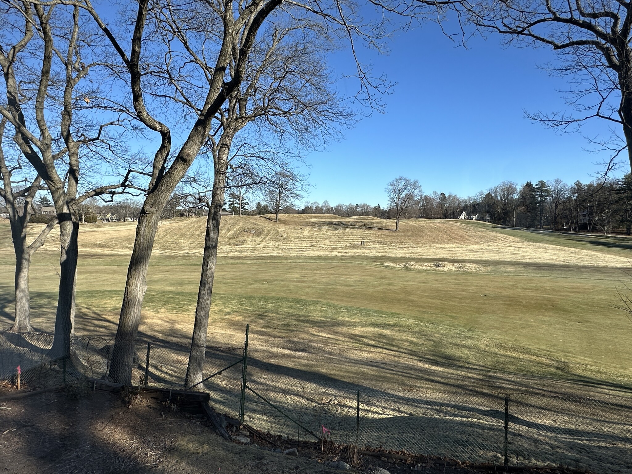 43 Fairgreen Pl, Chestnut Hill