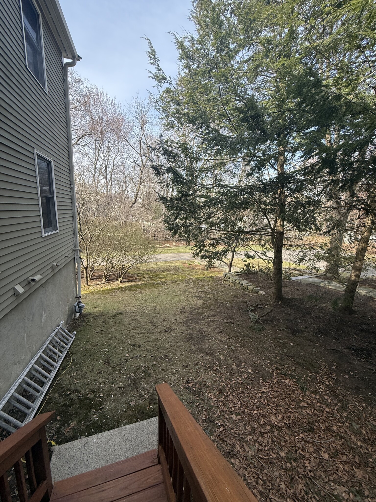 226 Winchester St, Newton Highlands