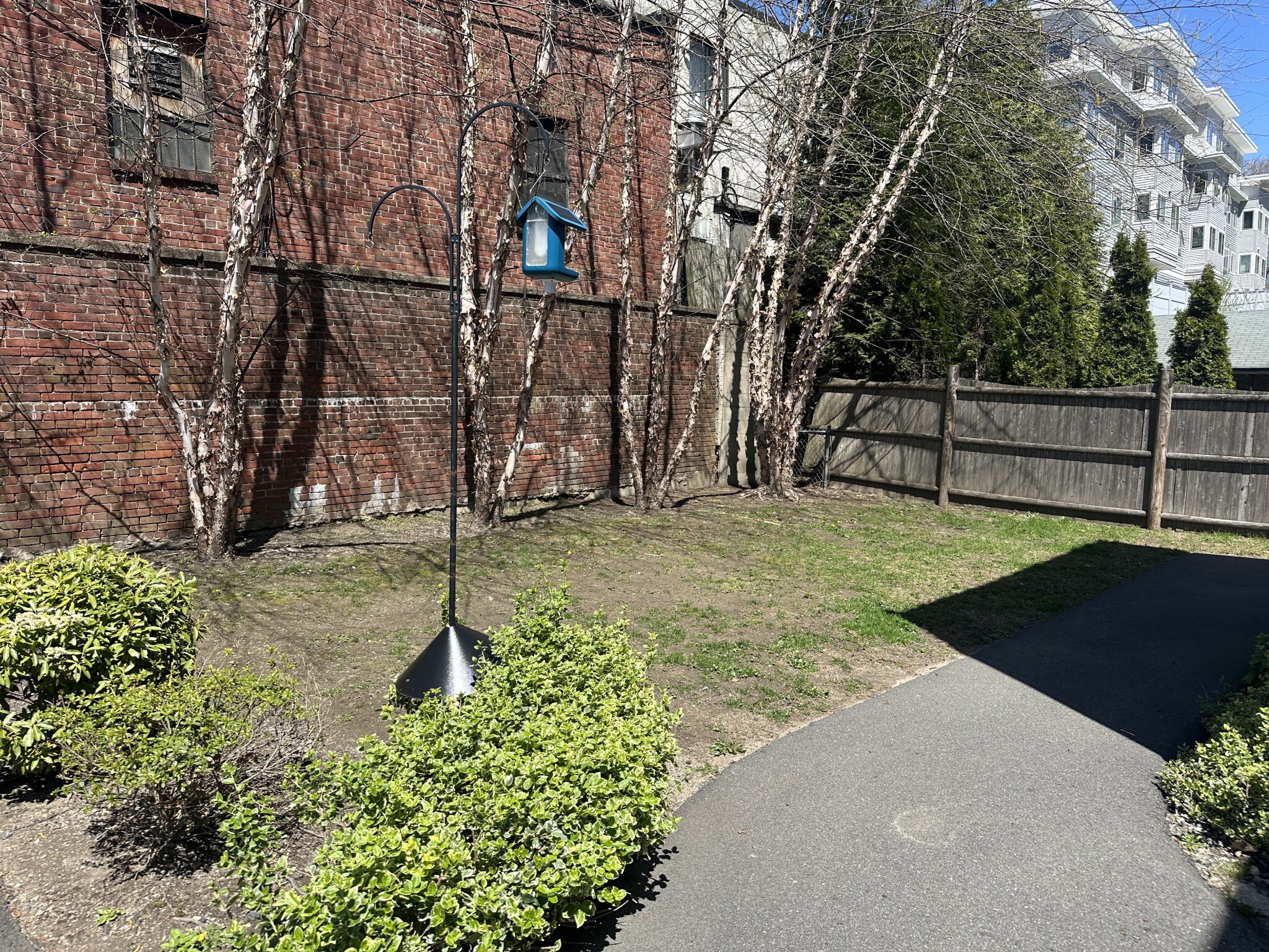 6 Hazelmere Rd, Roslindale