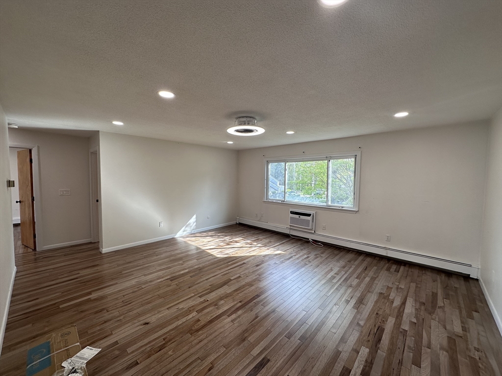 41 Will, Canton Junction