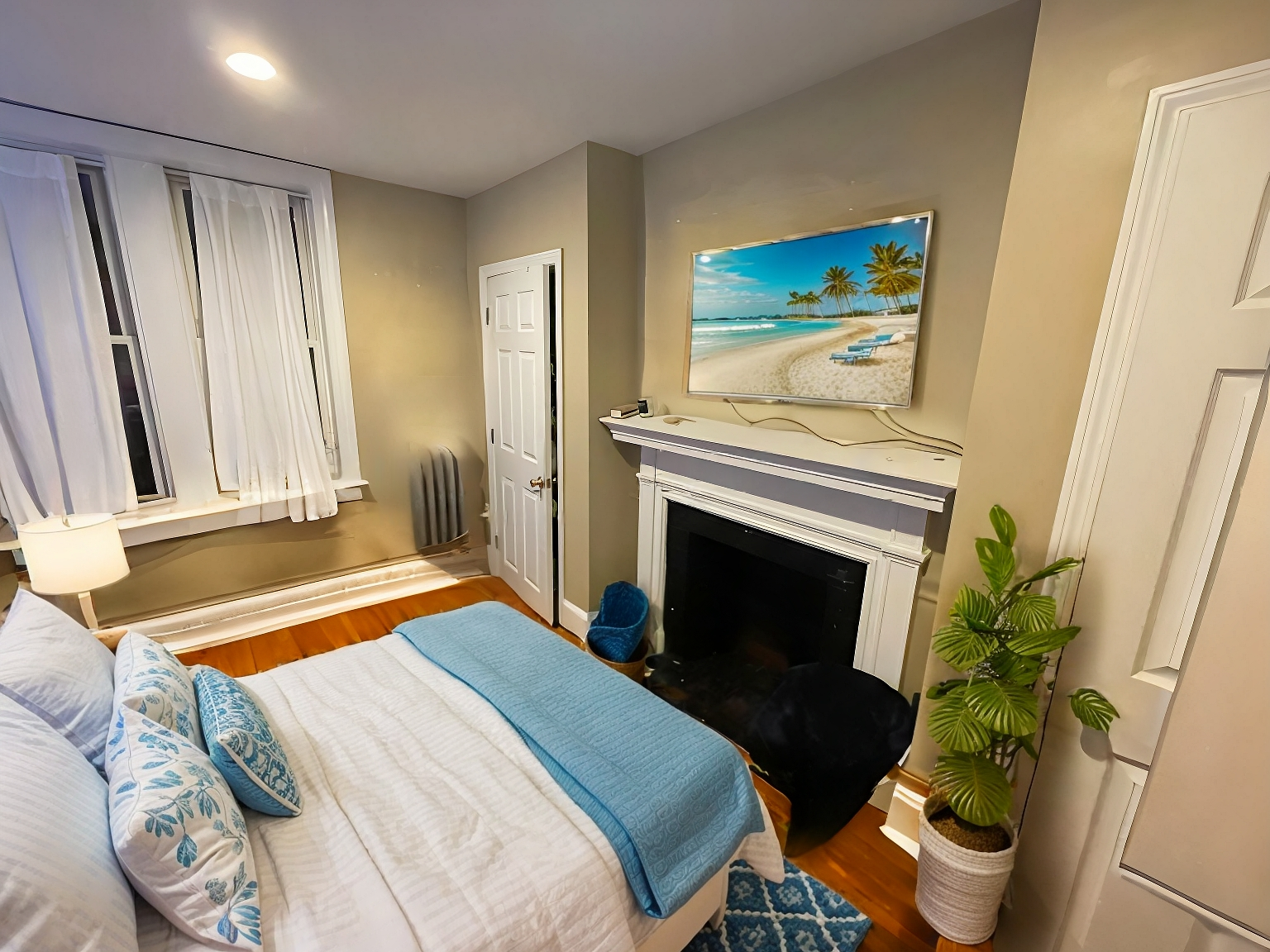 62 Egmont St, North Brookline