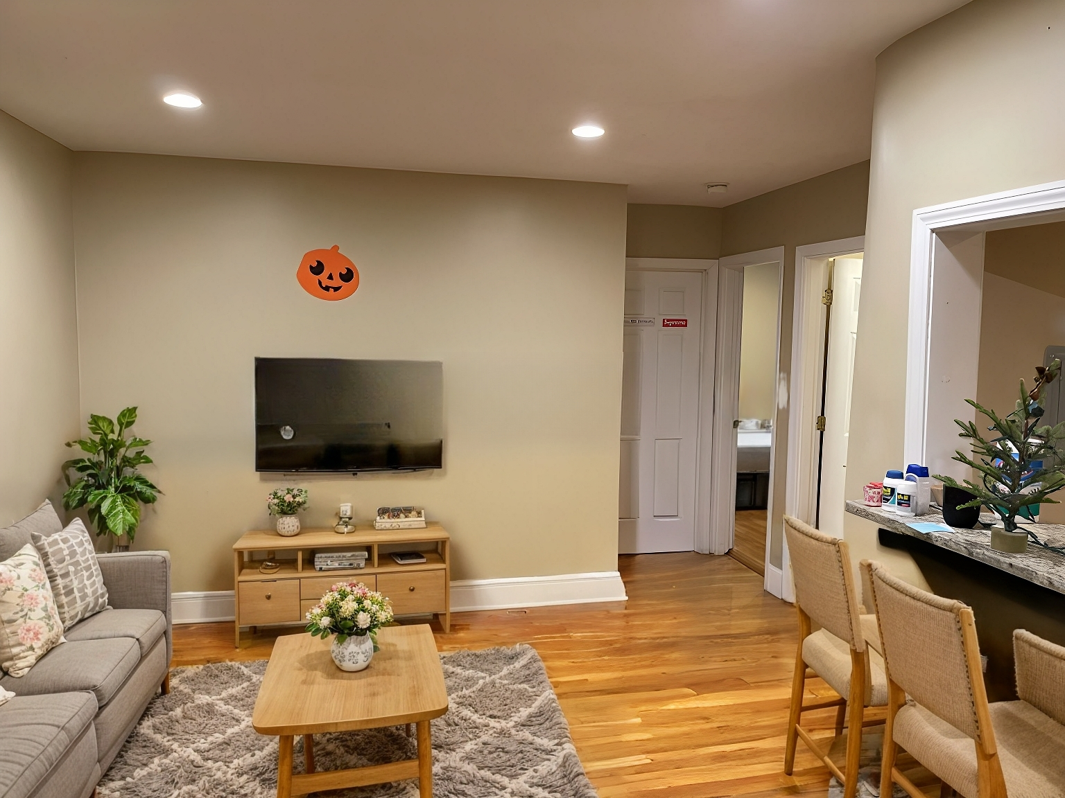 68 Egmont St, North Brookline