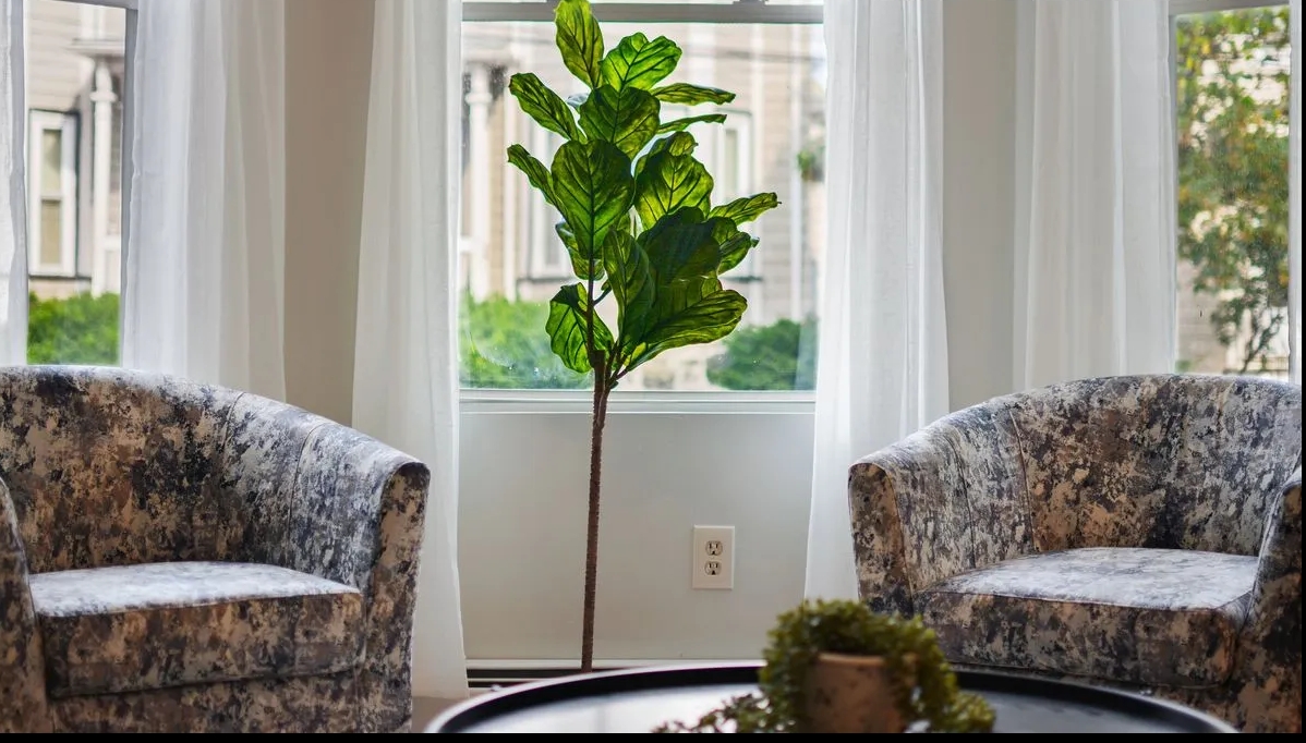 21 Highgate St, Allston