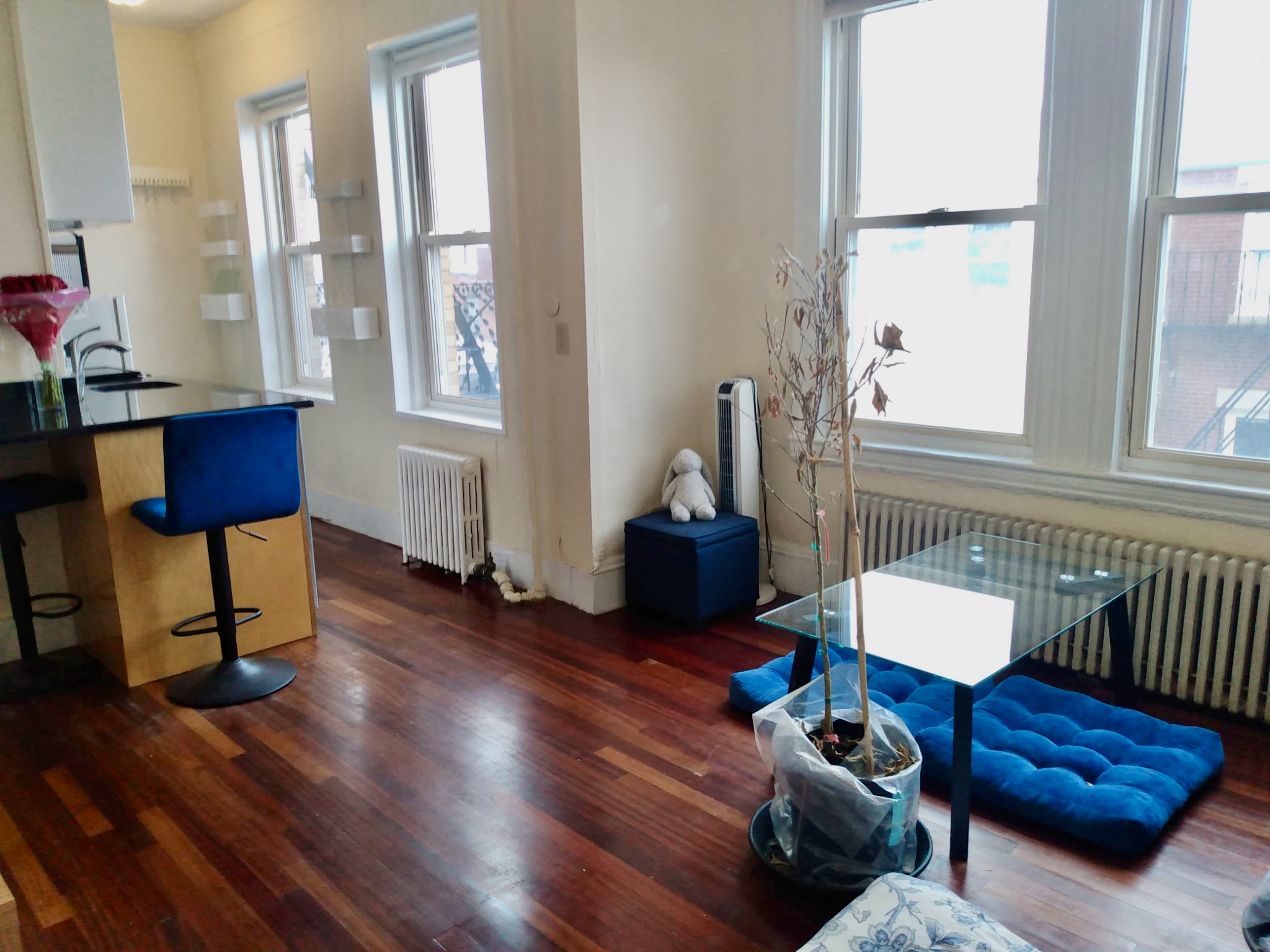 108 Myrtle St, Beacon Hill