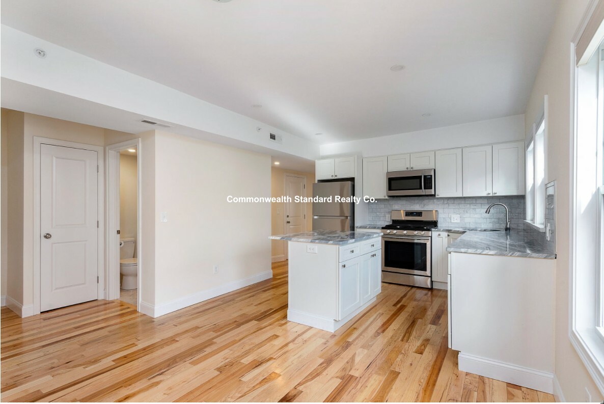 2 bed, 2 bath apartment for rent at 58 Boynton Unit 6, Jamaica Plain — photo 3 of 12