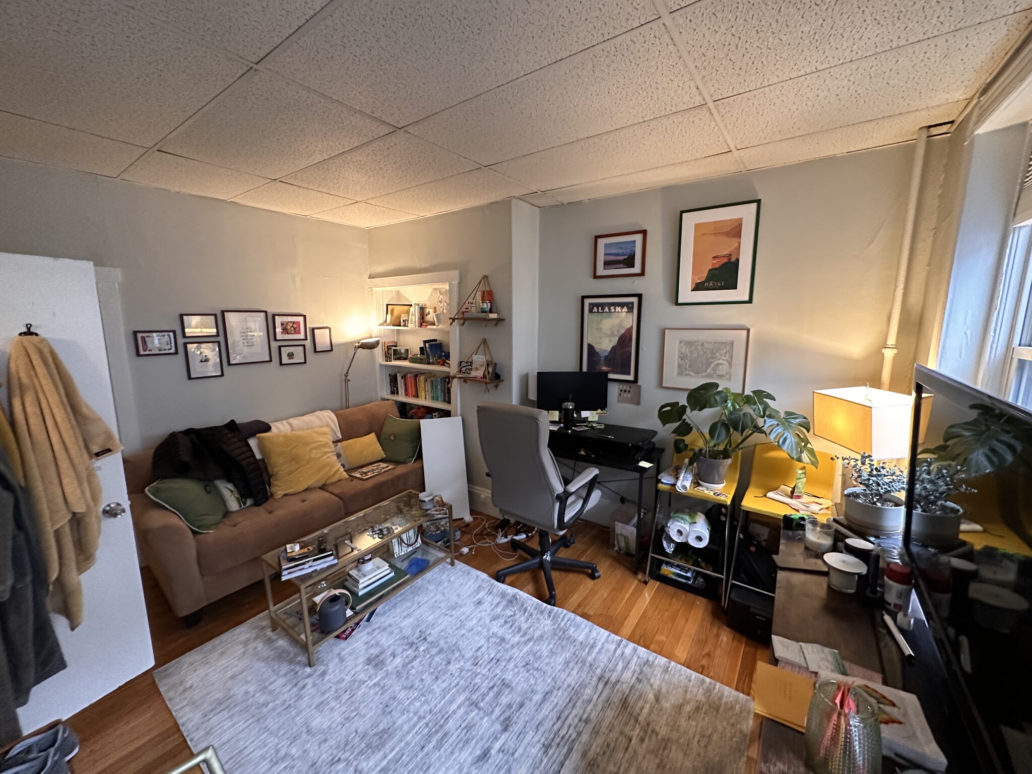 31 Grove, Beacon Hill