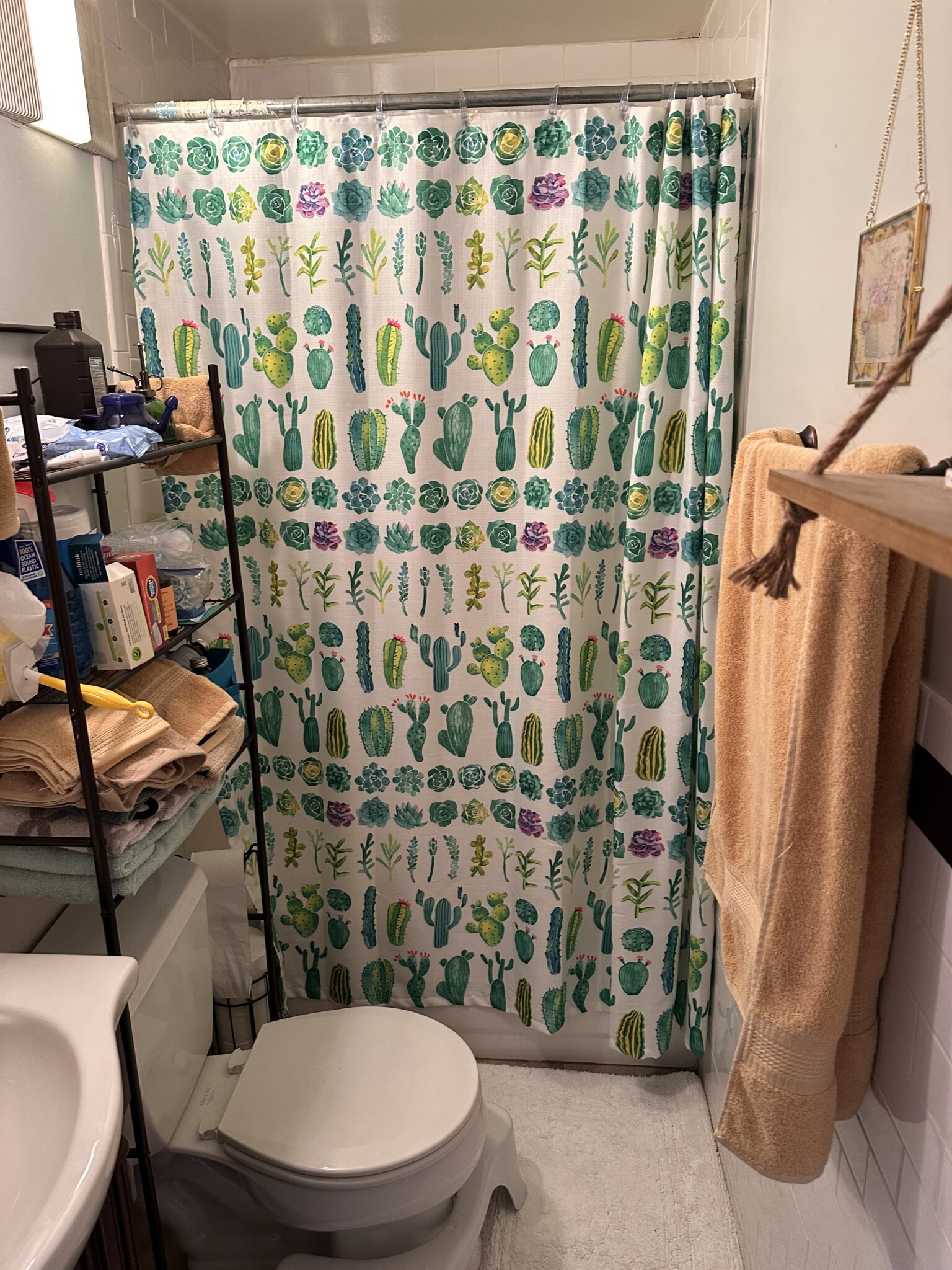 31 Grove, Beacon Hill